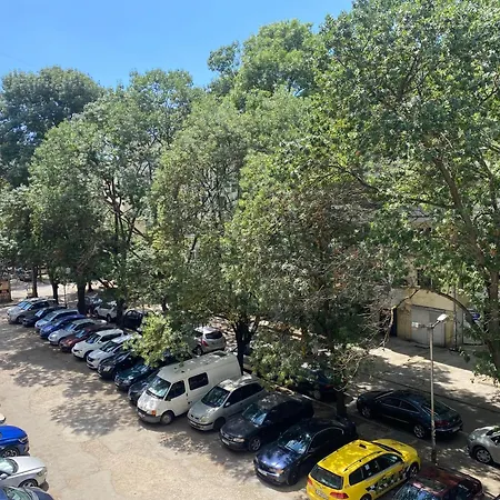 Eli-andon * Варна